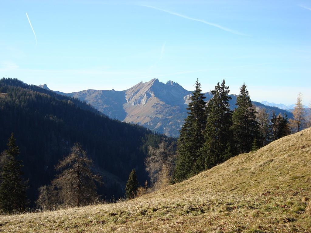 Appartementhaus Schuetzenhof Schied Grossarl Bagian luar foto