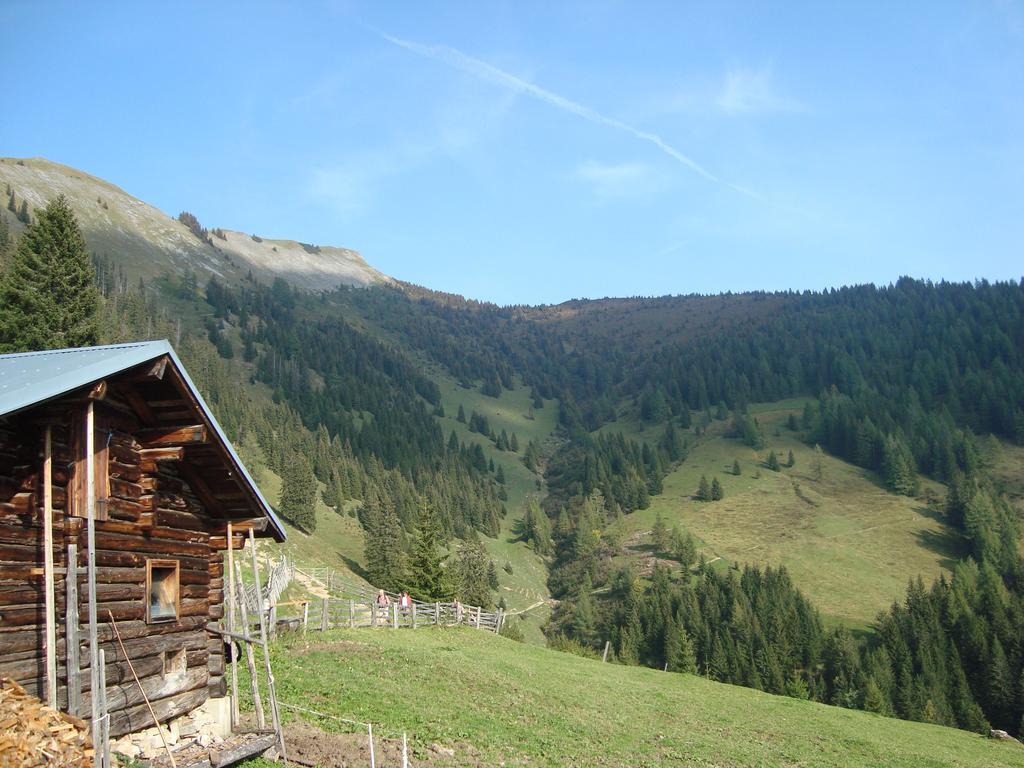 Appartementhaus Schuetzenhof Schied Grossarl Bagian luar foto